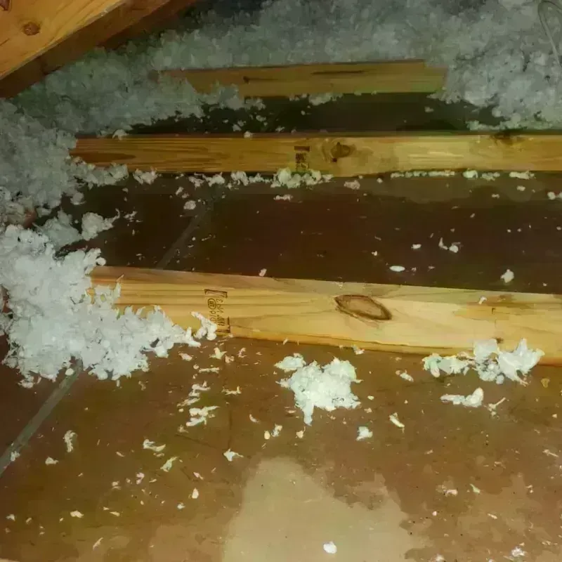 Attic Water Damage in Amherst Center, MA